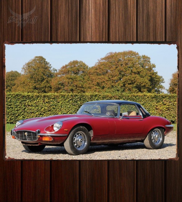 Металлическая табличка Jaguar E-Type V12 Open Two Seater (Series III) 342